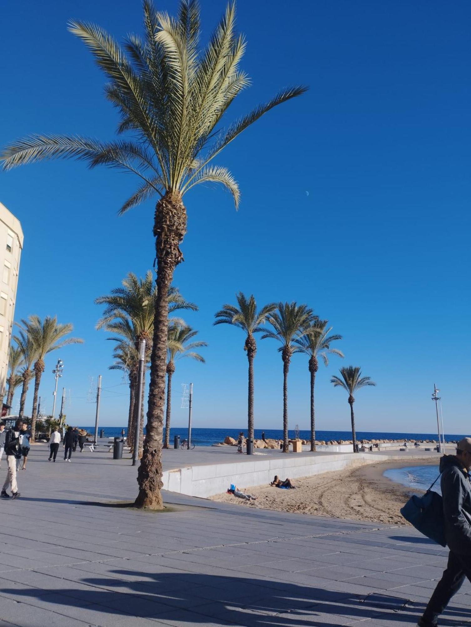 Просторная Квартира Рядом С Морем В Хорошем Районе Torrevieja Exterior photo